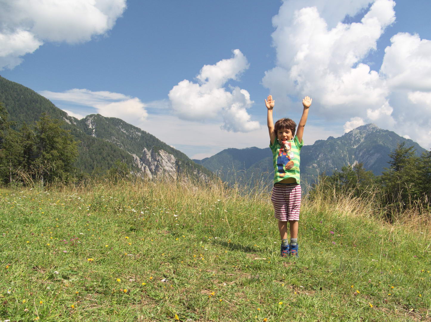 Qualche foto nei prati attorno al rifugio Qualche foto nei prati attorno al rifugio