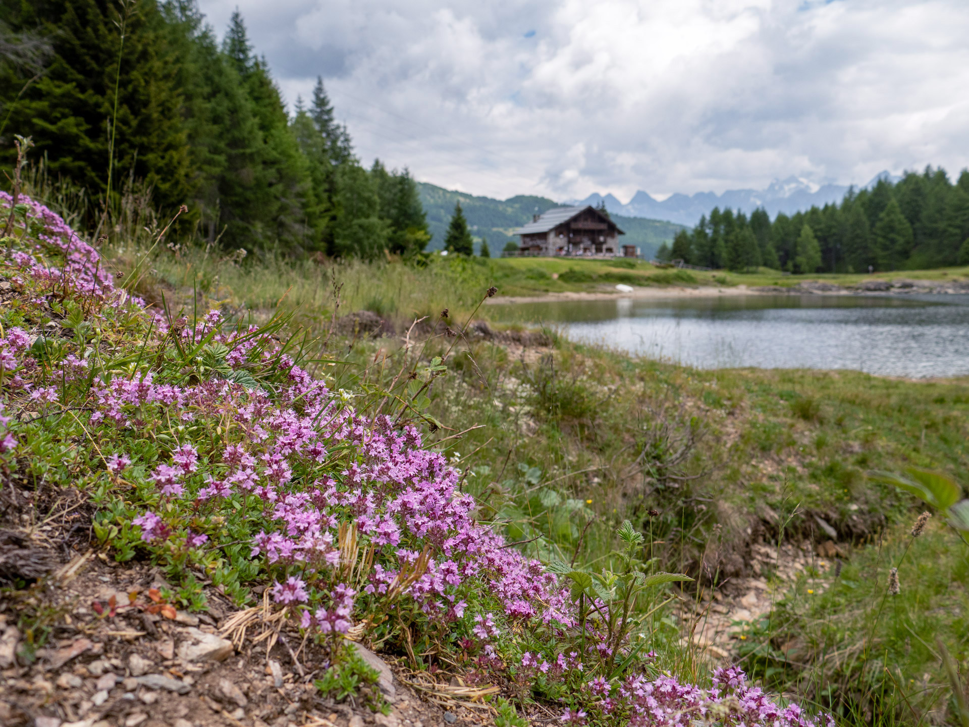 Il rifugio visto dalla sponda opposta del lago