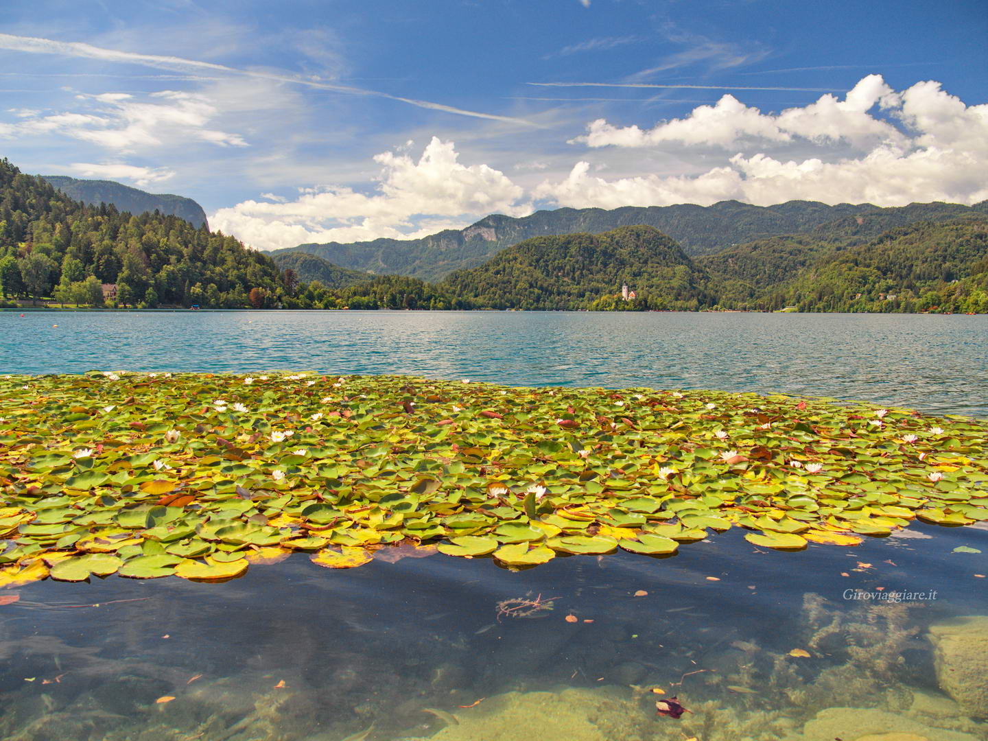 Panorama lungo lago