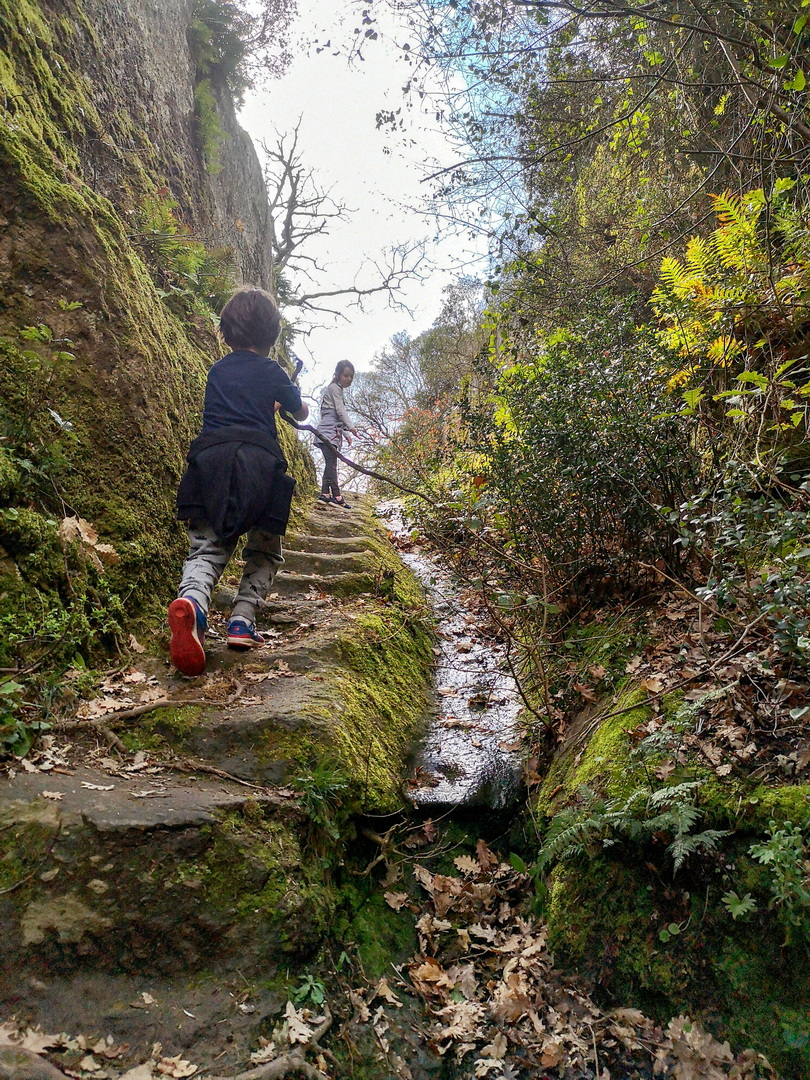 Si passeggia tra i tumuli etruschi